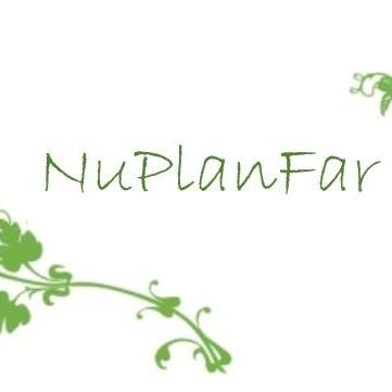 Núcleo de Estudos Avançados em Plantas de Interesse Farmacêutico - NuPlanFar